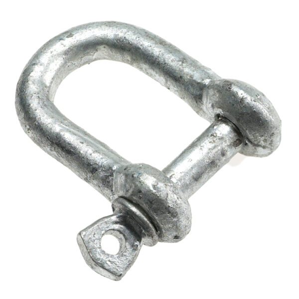 Dee Shackles