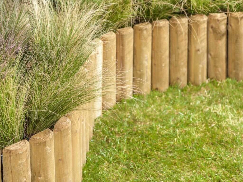 Log Roll