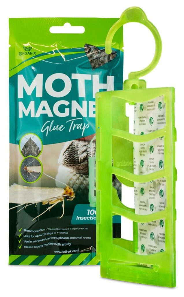 Lodi Moth Trap