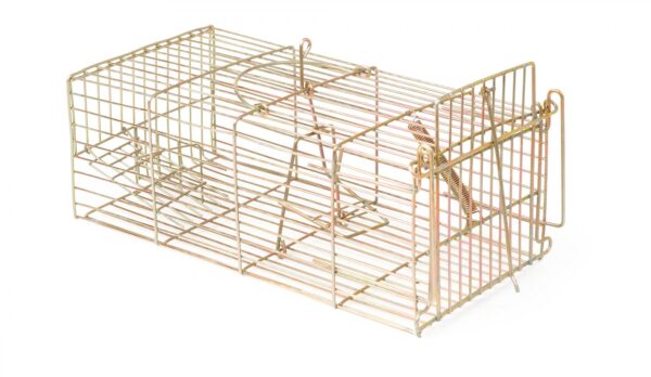 Lodi Rat Cage Trap