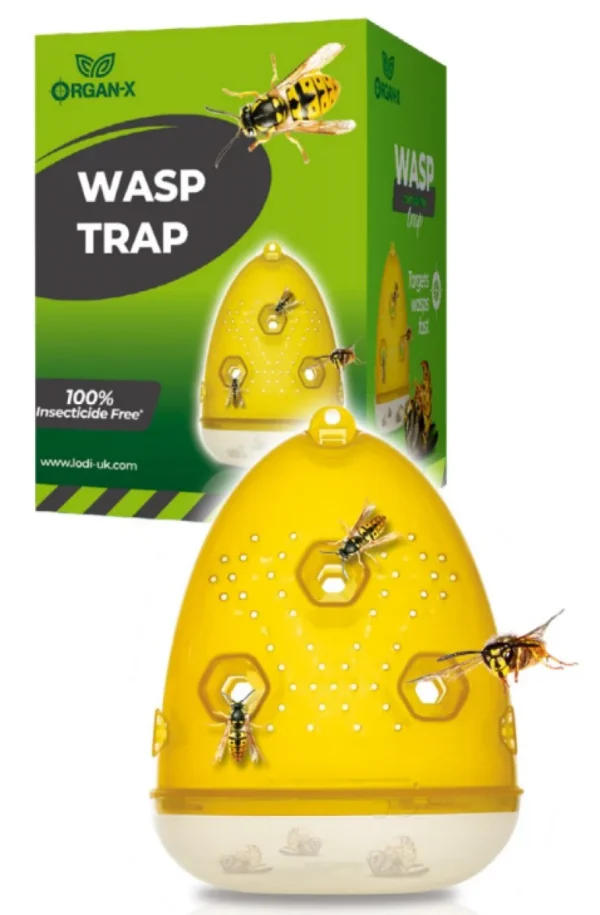 Lodi Wasp Trap