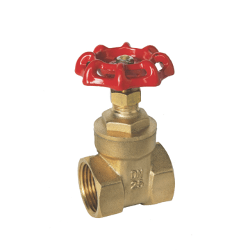 BSP Gate Valve