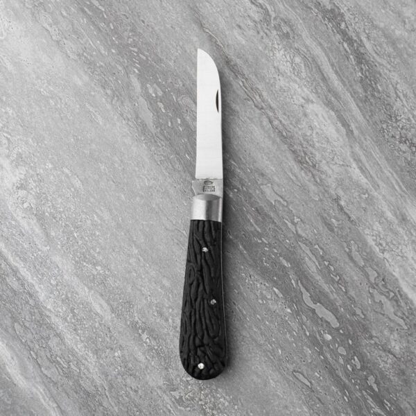 Taylors Eye Witness  16 Knife