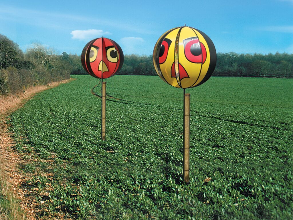 Portek Hawkeyes