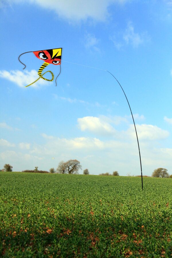 Portek Terror Kites And Terror Hawks