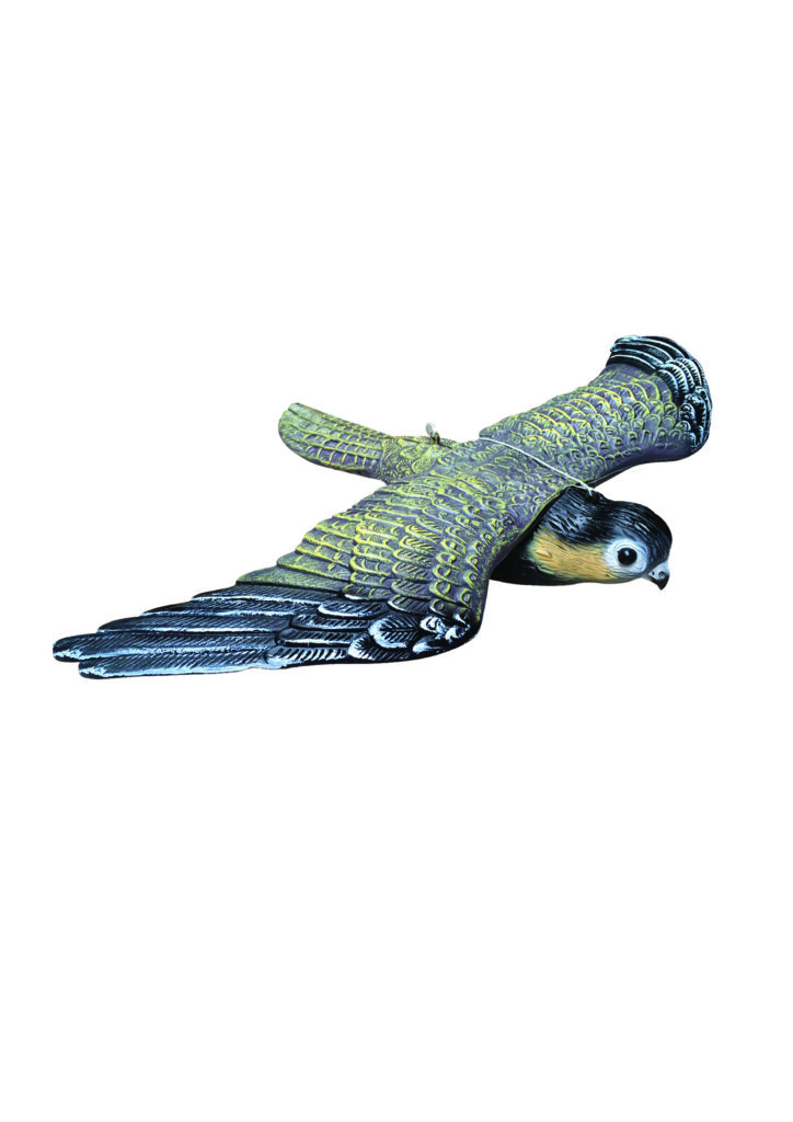 Flying Falcon