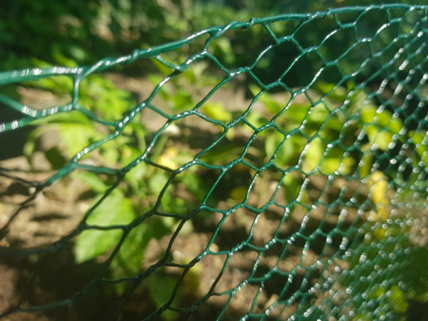 Green PVC Wire Netting