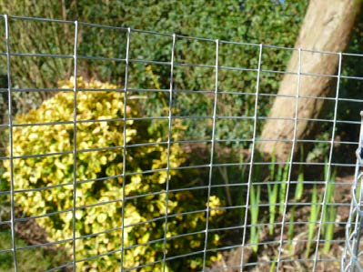 Twill Weld (light weldmesh)