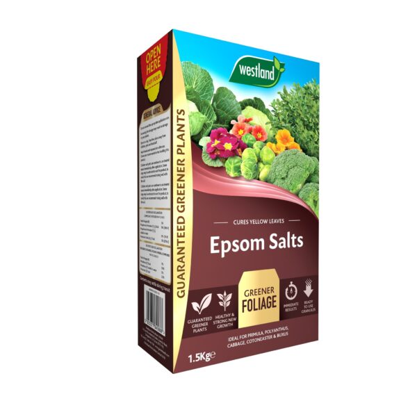 Westland 1.5kg Epsom Salts