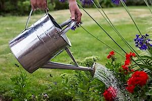 Galvanised Watering Can