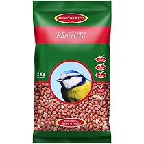 Johnston and Jeff Peanuts