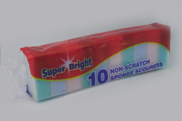 Small Sponge Scourer