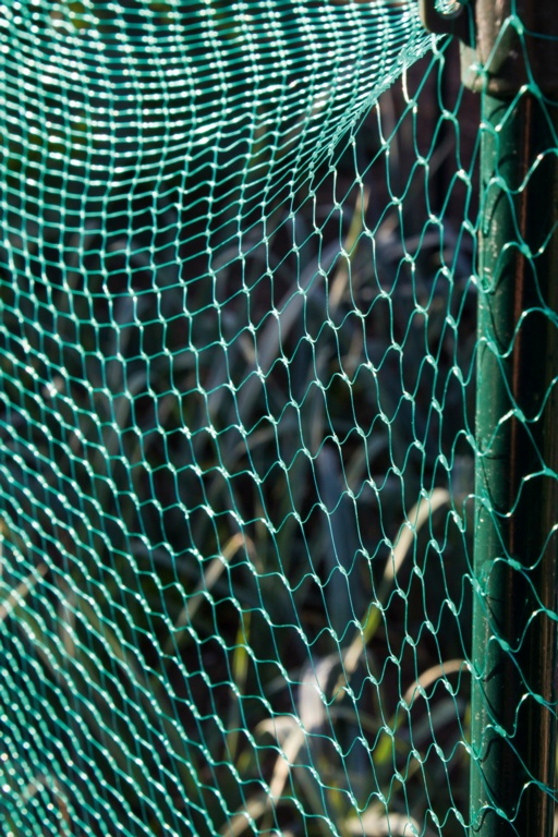 PVC Garden Netting