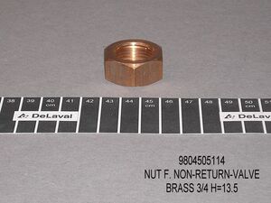 Delaval 9804505114 NRV Nut