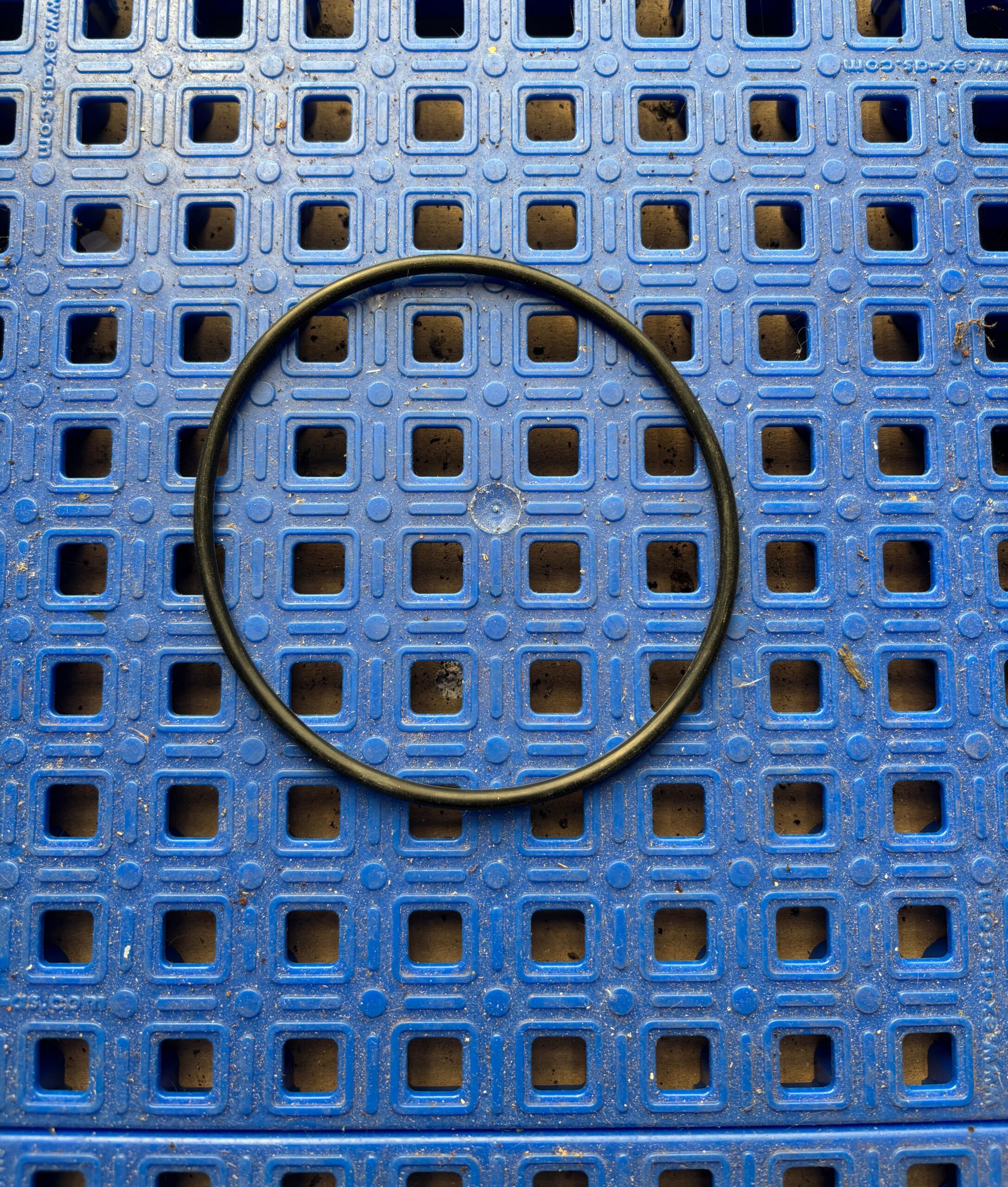 Delaval 92522901 Vacuum Cylinder O'ring